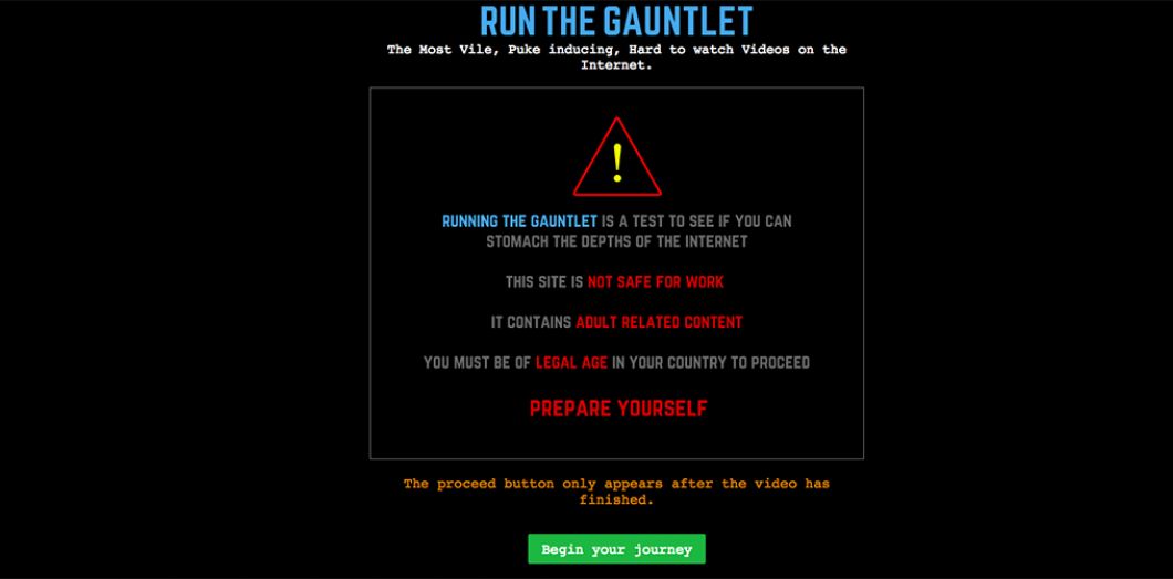 Run the Gauntlet: Navigating Life's Challenges